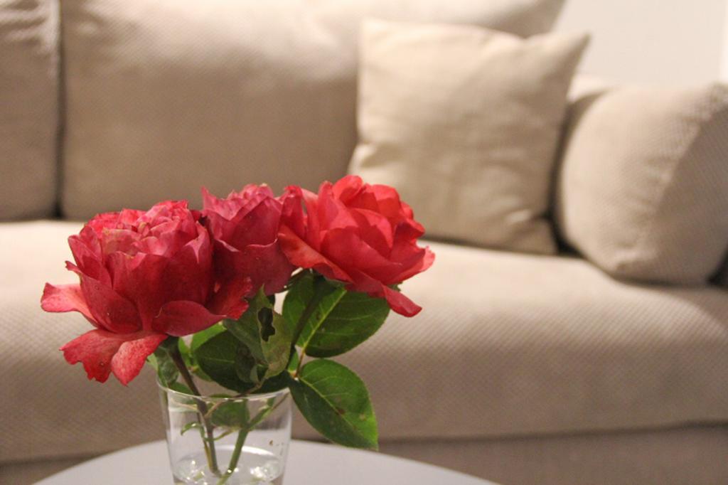 Apartment Filipa